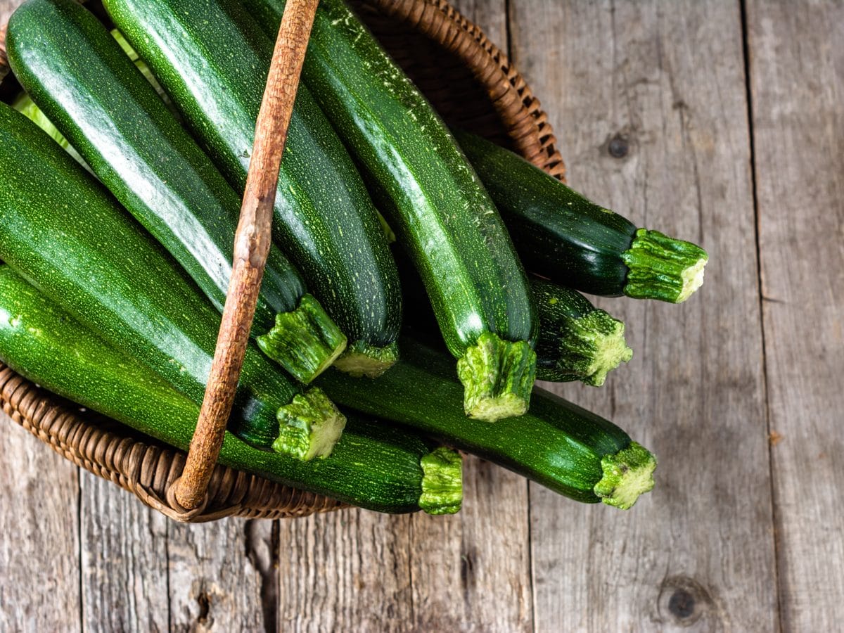 Zucchini