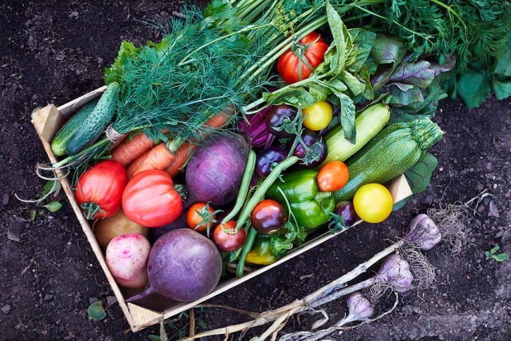 The Easiest Vegetables to Grow for Beginners