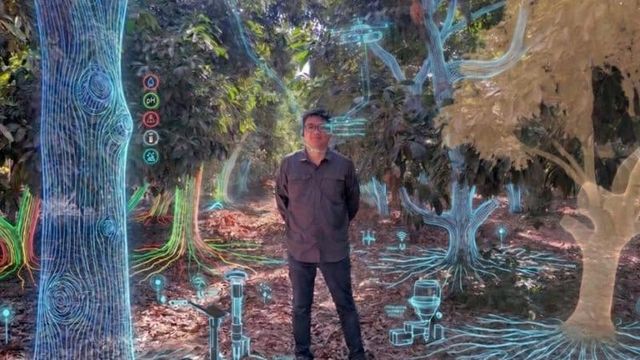 AI in agroexports: essential knowledge to empower teams and the company (part I)