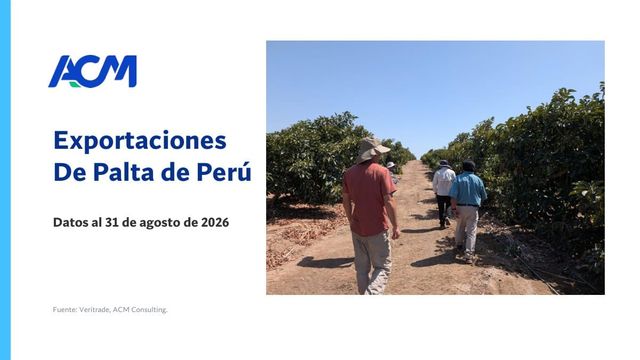Exportaciones de palta de Perú (Agosto 2026)