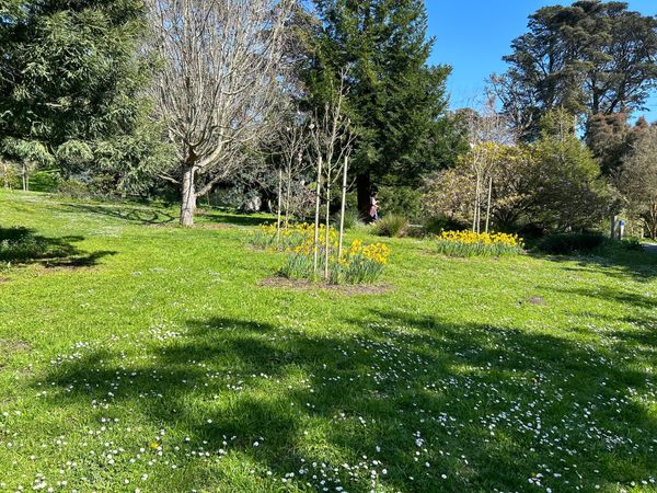 From our desk: A bimonthly newsletter exploring community, parenting and play