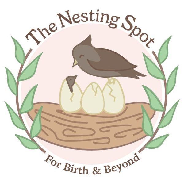 The Nesting Spot for Birth and Beyond, SanJose