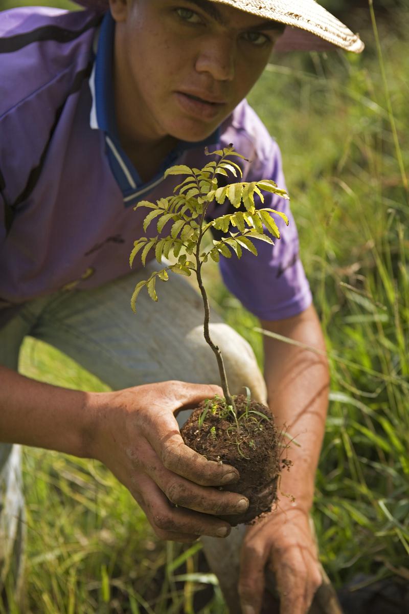 ecosia-brazil-jardinier