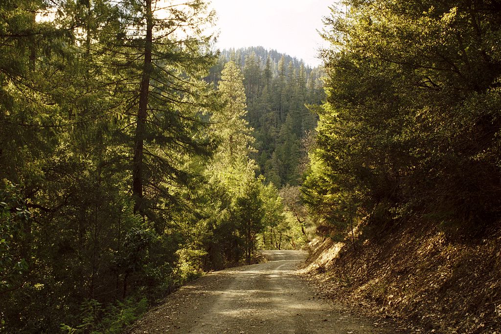 1024px-Klamath_National_Forest-16N05_March_05--1-