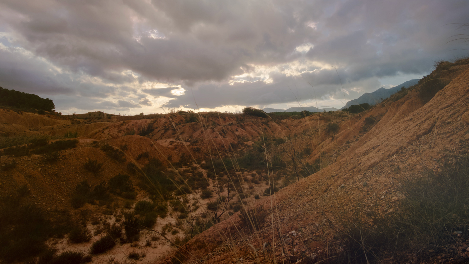 ES_Intro_header