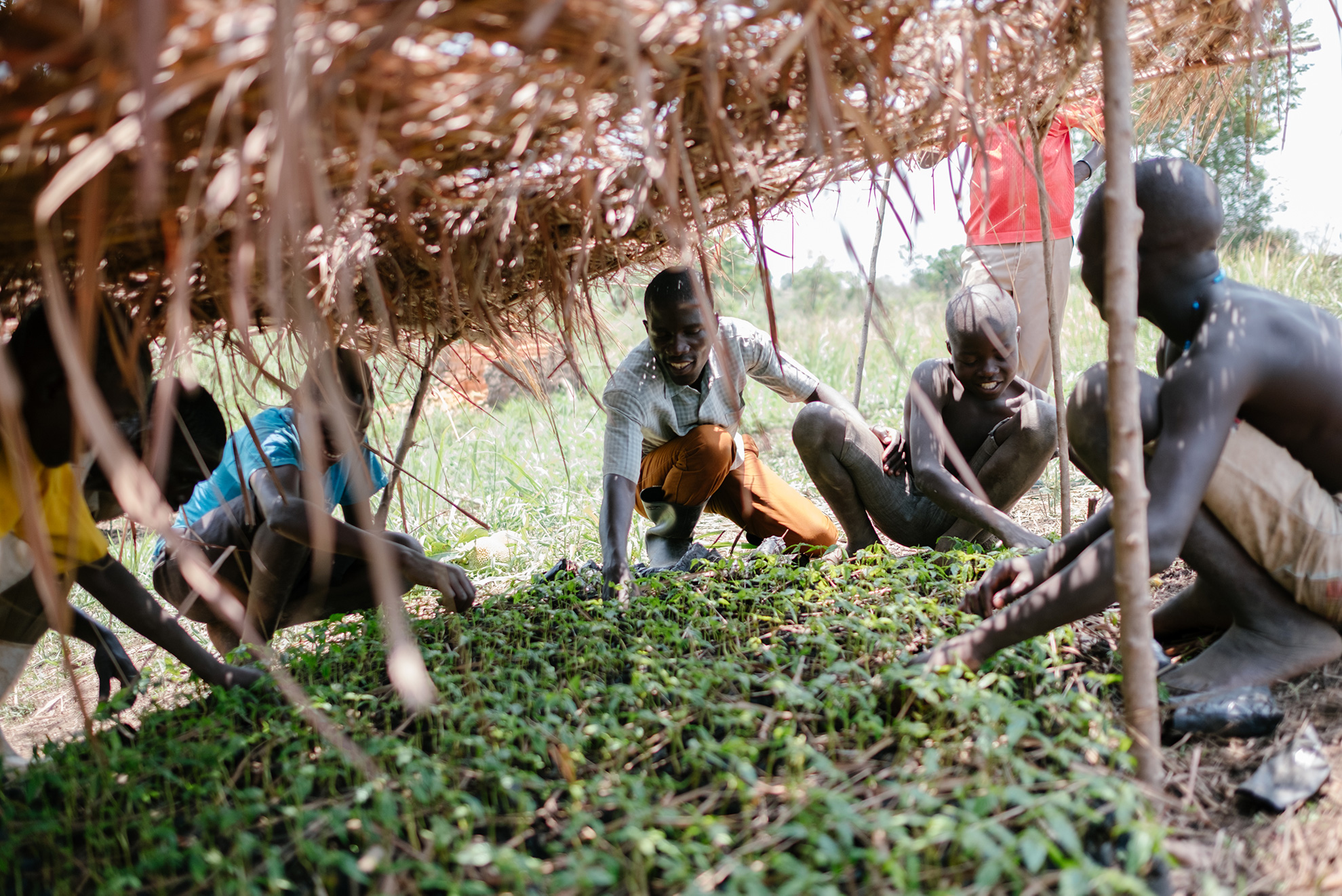 Uganda-2018-Ecosia--60-of-76--1