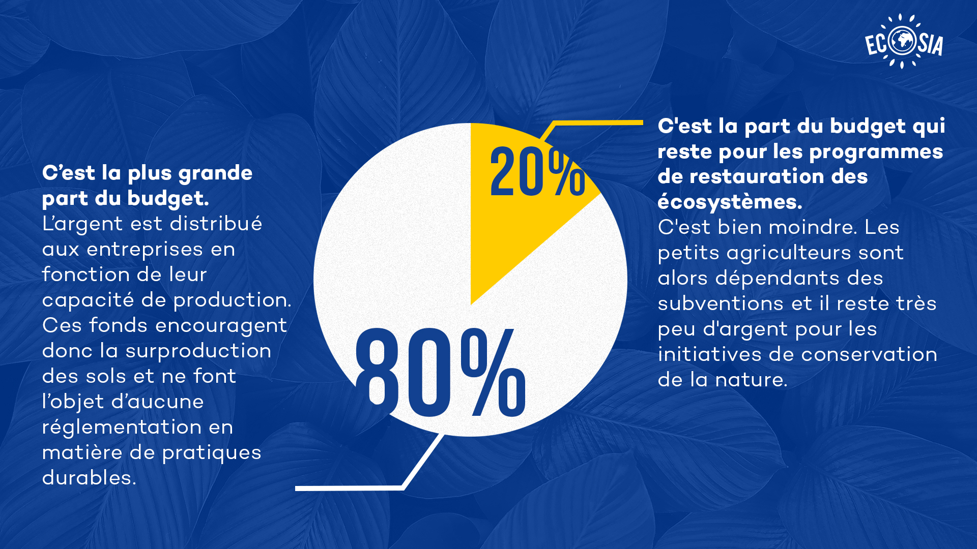 170519_EU-Elections_blog_6_FR
