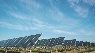 Quel est l’impact en CO2 d’une recherche Ecosia ?