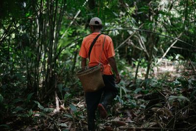 Ecosia dit non à Google