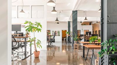 Pourquoi les organisations avant-gardistes passent à Ecosia pour semer les changements de demain