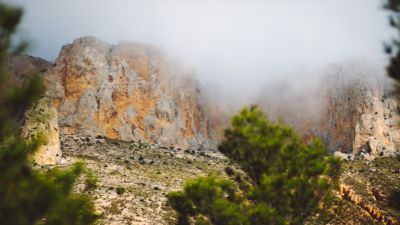Bilan des plantations : épisode 26