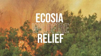 Rejoignez le mouvement #EcosiaWildfireRelief pour combattre les incendies et restaurer les forêts !