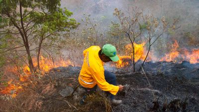 Nous consacrons 800 000 € à la lutte contre les feux de forêt cette année