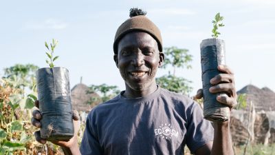D'une terre aride à une forêt en seulement 5 ans