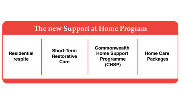 Size matters: mid-sized home care operators to be challenged as sector faces further consolidation