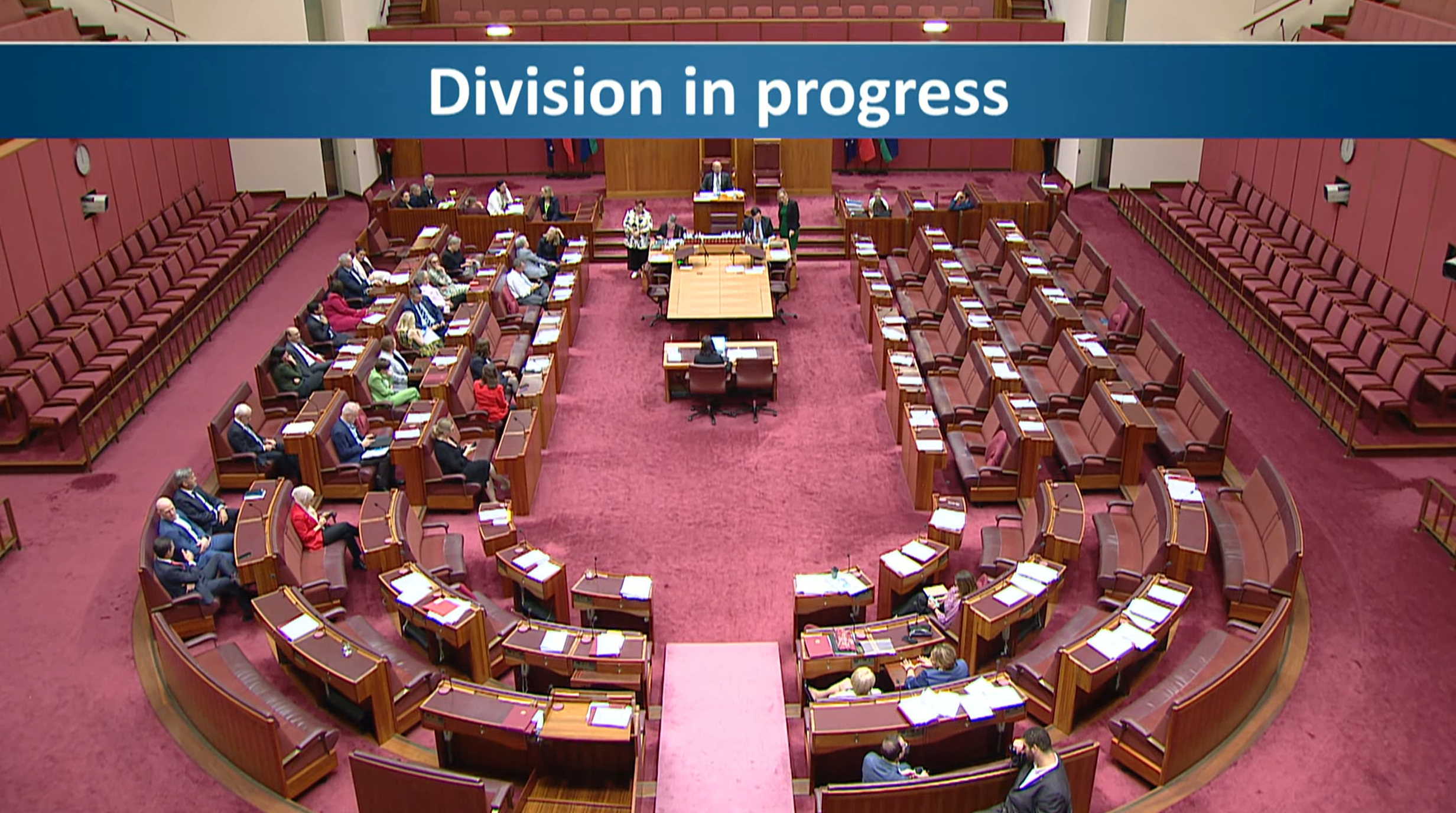 Aged Care Bill 2024 passes Senate with bipartisan support after amendments