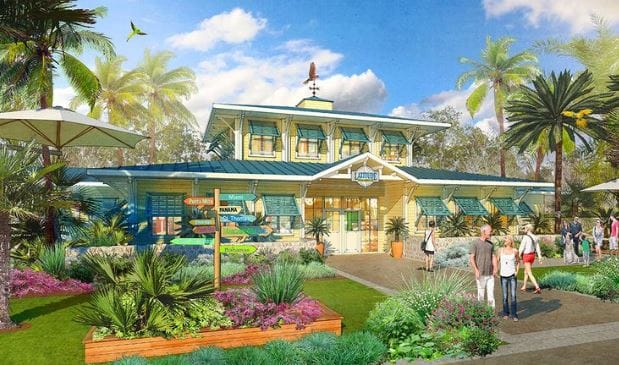 ‘It just makes you feel good’: Florida, margaritas and retirement!