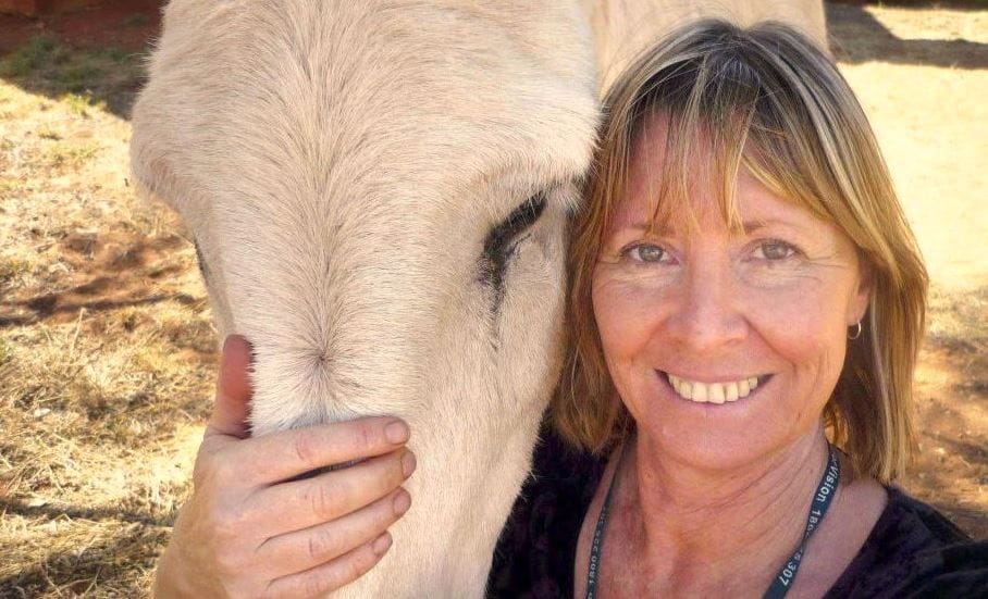 NT remote area nurses to be accompanied on house calls after numerous attacks