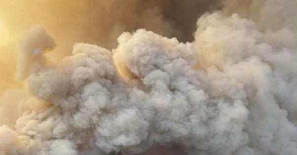 Aged care providers warned to have emergency plans in place for bushfire season