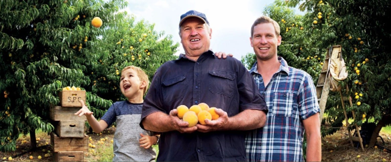 SPC launches new nutritional food company to support aged care