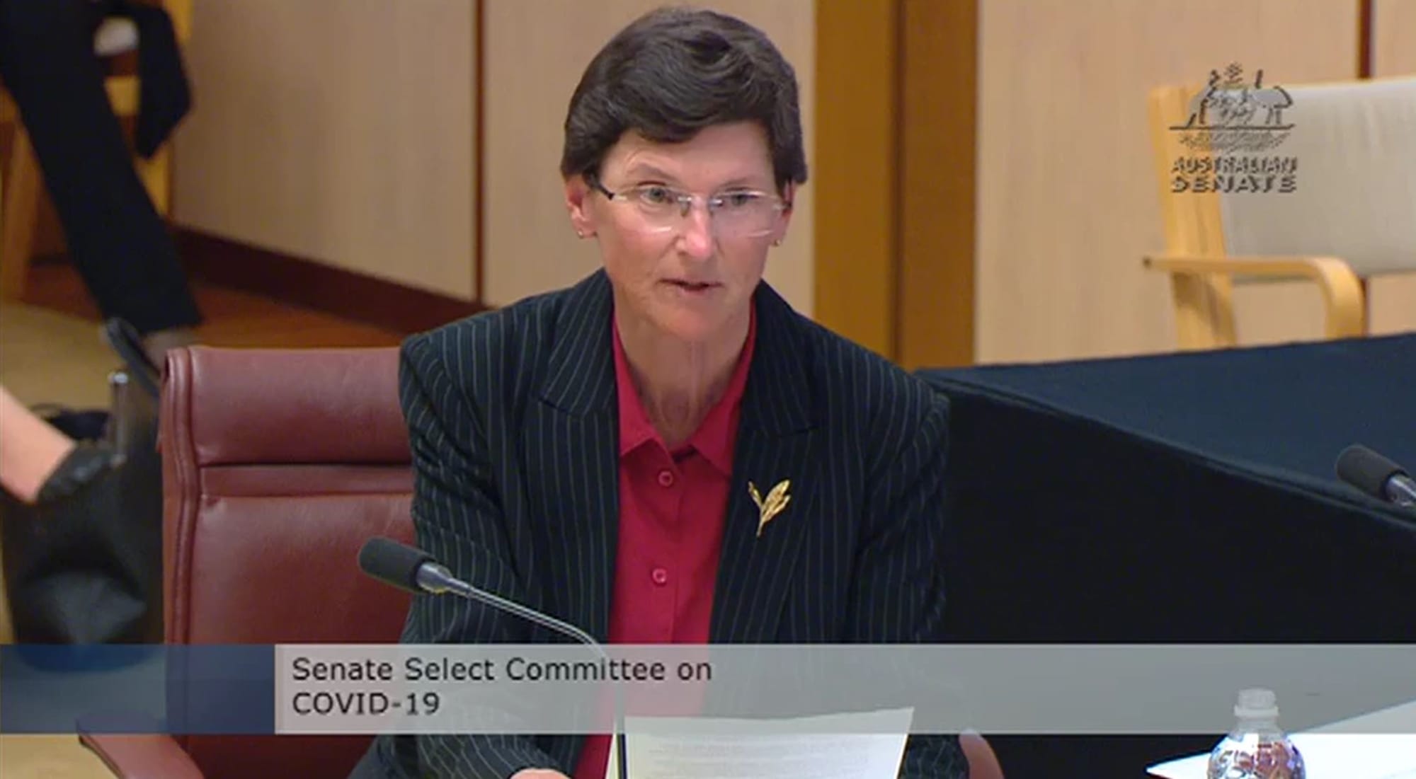 Janet Anderson grilled over regulator’s ‘inaction’ on aged care homes with COVID outbreaks at Senate enquiry