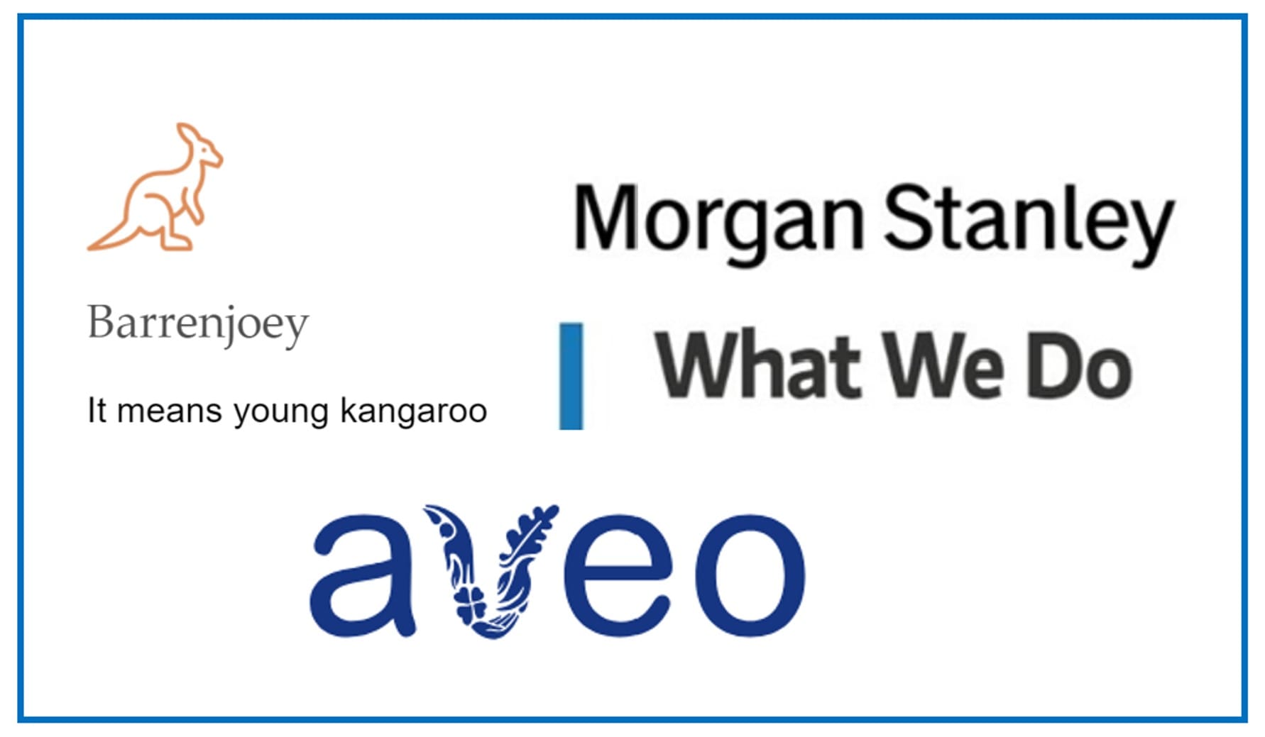 Barrenjoey and Morgan Stanley picked to market Aveo for $3B