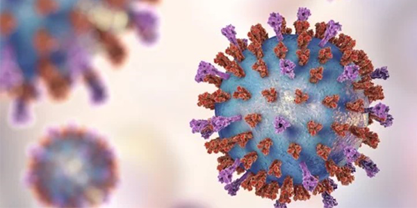 Surge in cases of respiratory syncytial virus (RSV) in Queensland aged care homes