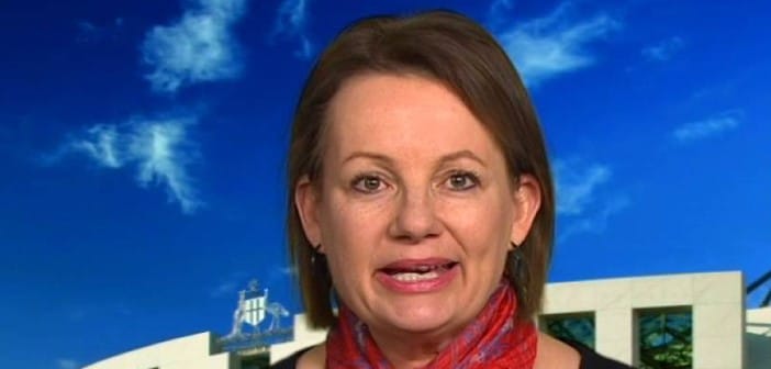 QLD RV rejected under Australia’s environmental protection laws