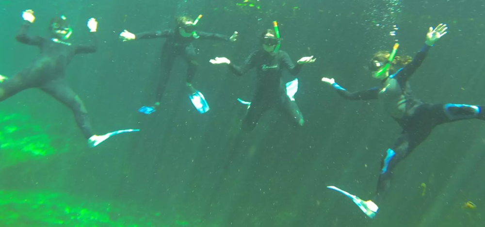 Treading water: aged care operators are in strategy limbo, waiting (again) for Government