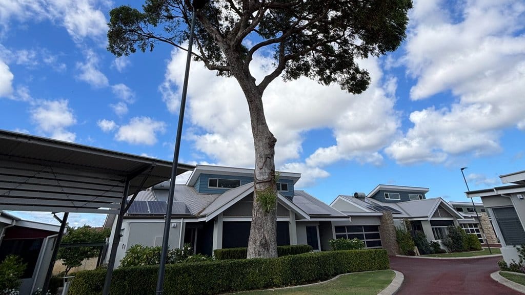 Council deny this 18ft high tree at Perth retirement village is a danger  post image