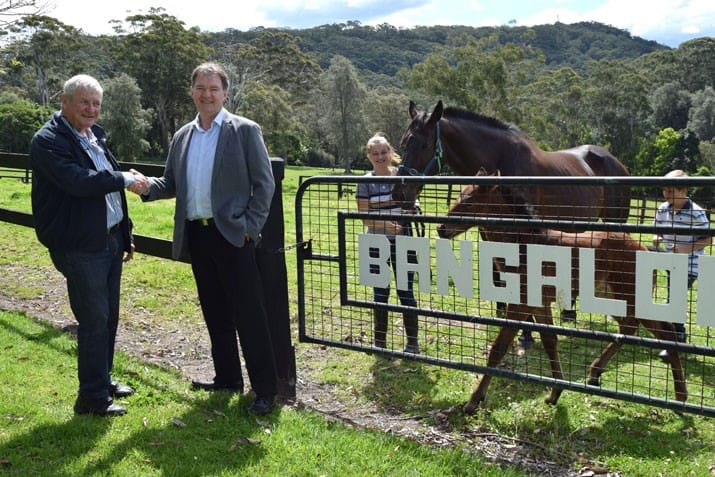 Living Choice moves forward on new horizontal village at Avoca Beach (NSW)