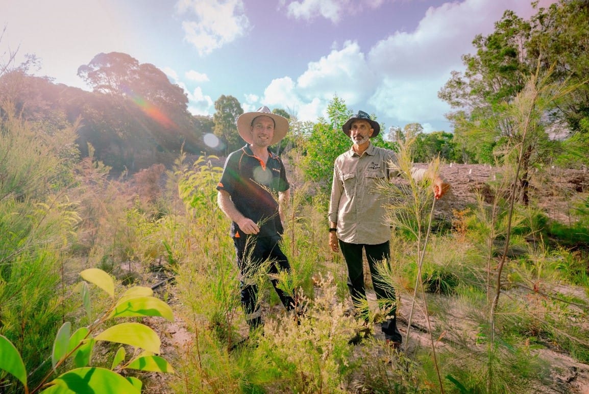 Keyton plant 1000 trees in major rehabilitation effort at its Sunshine Coast village development