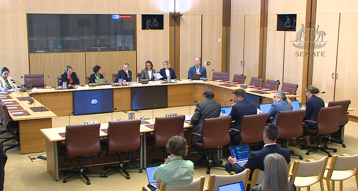 Support at Home Senate Inquiry announces five public hearings 
                                                    post image