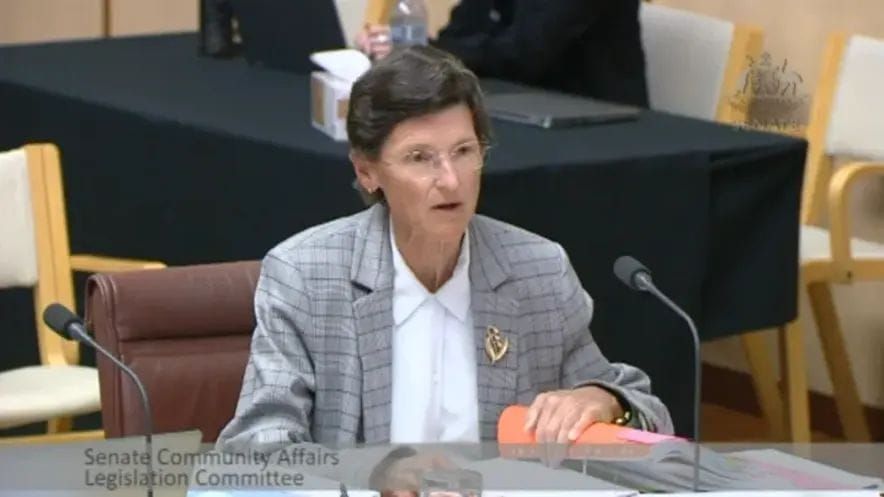 Contractors made 217 aged care home audits, compared to 42 by staff in six months post image