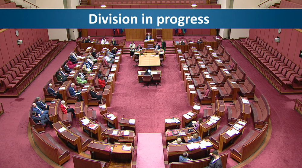 Aged Care Bill 2024 passes Senate with bipartisan support after amendments post image