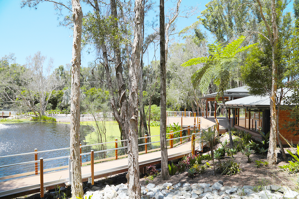 Sawtell’s Marian Grove village to open intergenerational gardens post image