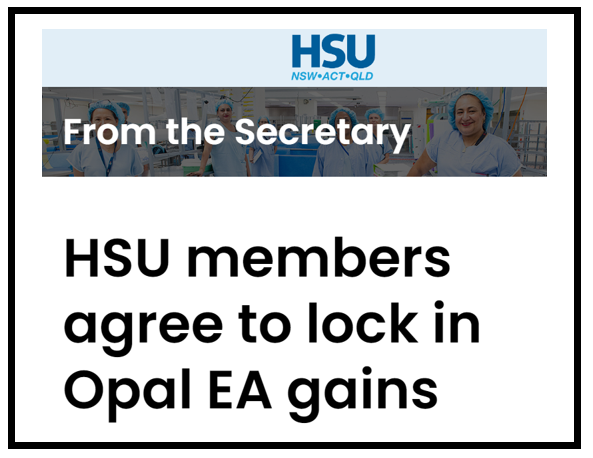 Health Services Union splits with nurses body over Opal HealthCare pay offer post image