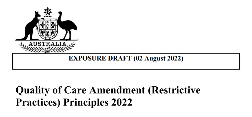 Draft released for new principles on restrictive practices post image