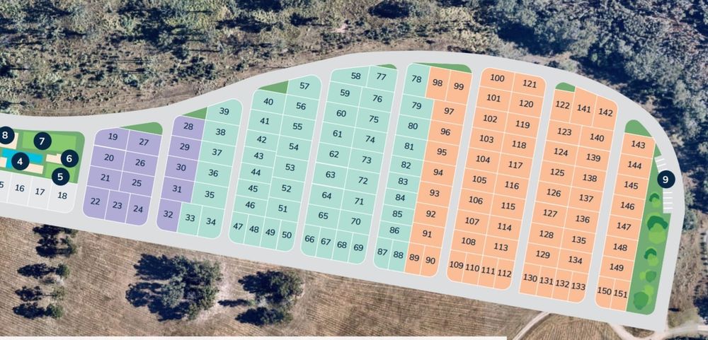 Hometown Australia to plant koala trees at entrance to new Glenfern Lifestyle Community post image