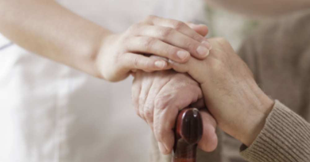 NZ committee recommends Commissioner for the Elderly post image