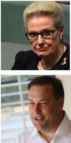 Bronwyn Bishop loses Liberal preselection to CareWell Healths Jason Falinski post image