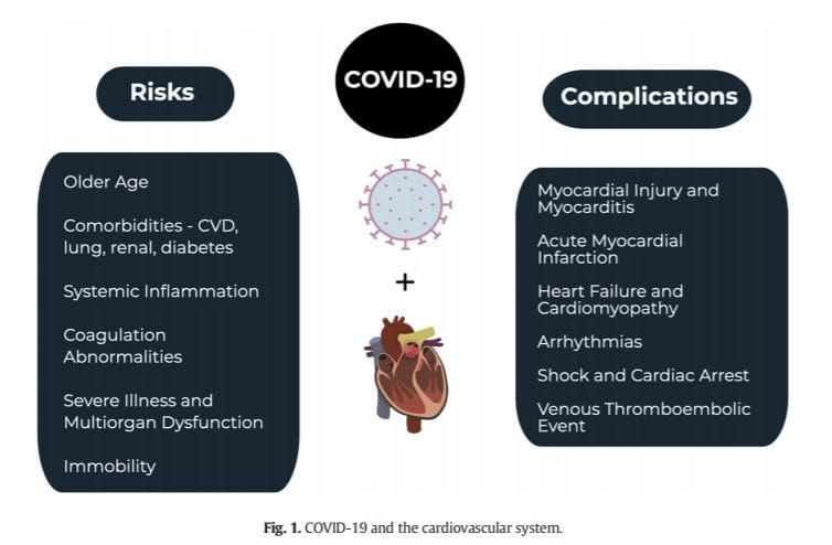 COVID-19 linked to heart attacks, heart failure and stroke, new research claims – treatments interfering with medications post image