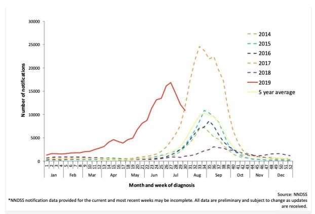 Flu – and coronavirus – through to October? post image