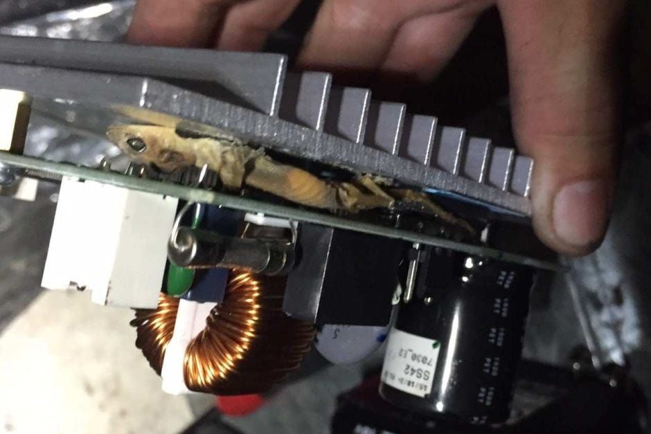 Reptile dysfunction: Lizard fries aged care home air conditioning system post image