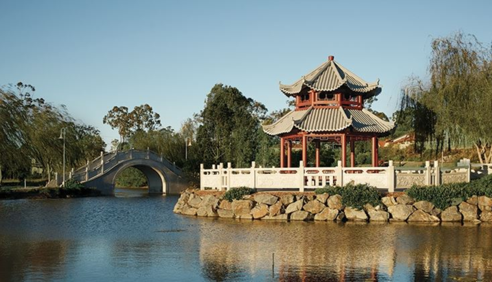 Residential aged care COVID-19 deaths continue to rise as cases plummet post image