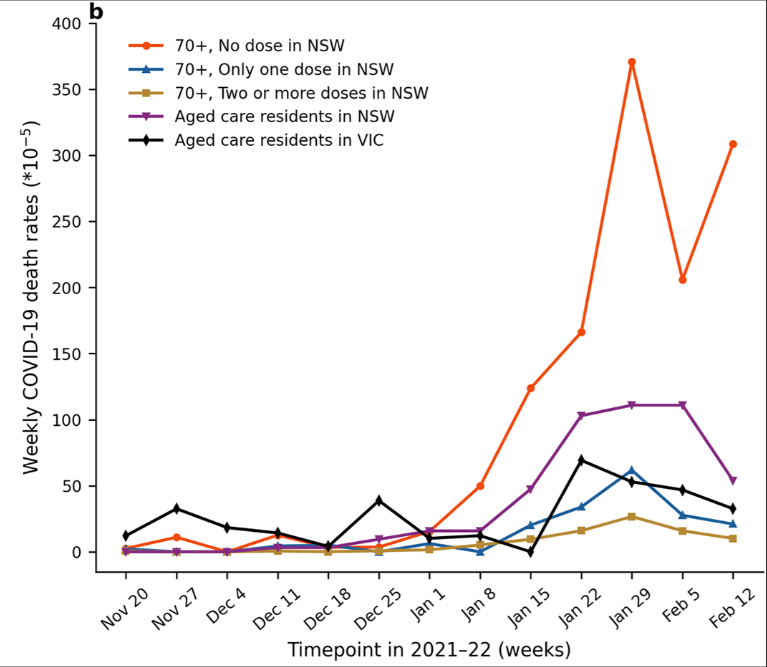 Low vaccination rates may have impacted death rates in residential aged care post image