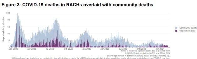Half of 2024's reported COVID-19 deaths in aged care homes post image
