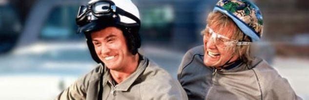 Dumb and Dumber. Two men jailed with firearms offences after village break-in post image