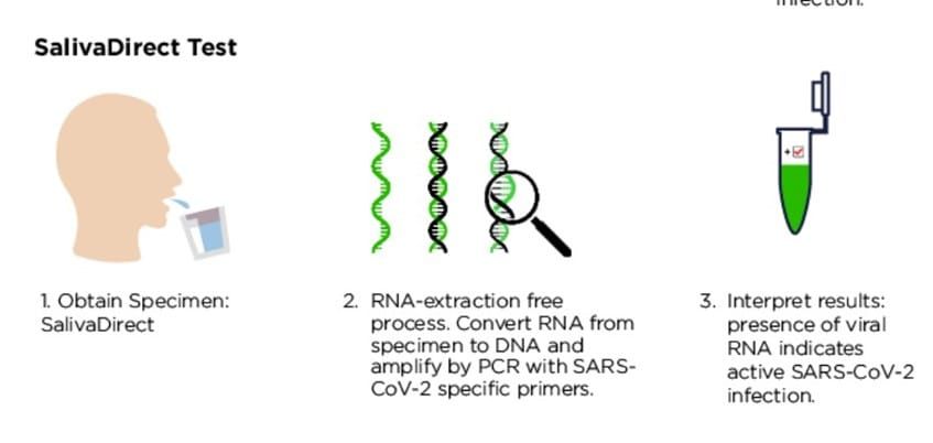 COVID-19 saliva test developed in New Zealand to be used at country’s largest aged care home post image