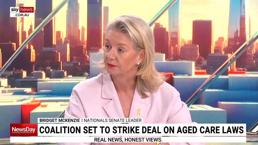 "It won't be peace at any price": Opposition warns of further amendments to Aged Care Bill post image